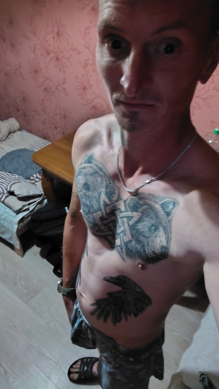  53786823  , 36 ,    