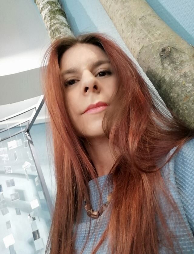  51813083  , 33 ,    