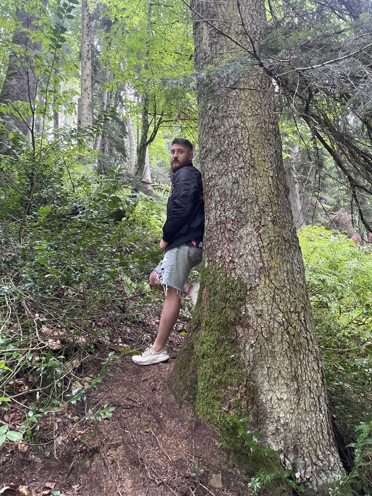 ���������� �����������, ���� ������� �����, 38 ���, ������������ ��� ������, ����� � ���������