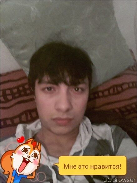 ���� 8645203 ������� ��������, 28 ���, ���� ���������� � ����� �������