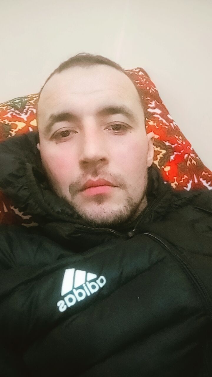 ���� 55284013 ������� ��������, 33 ����, ���� ���������� � ��������