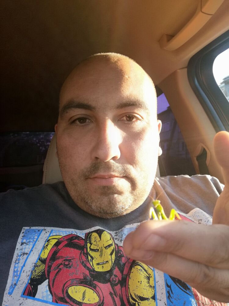 ���� 27084363 ������� ������, 40 ���, ���� ���������� � ���������� ������