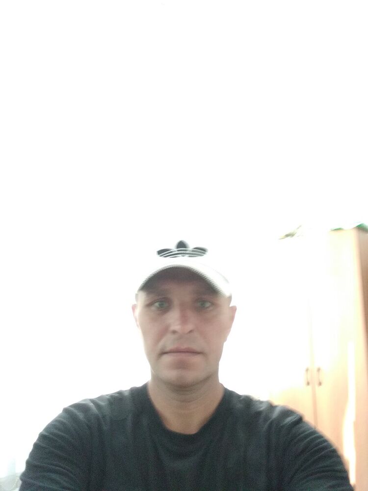  20381413  , 43 ,    