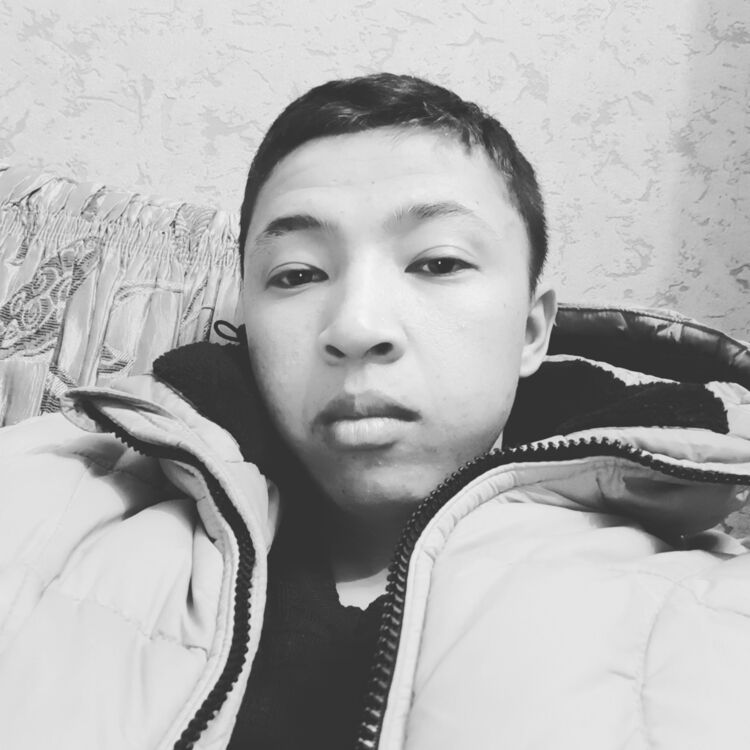  15788953  , 27 ,    