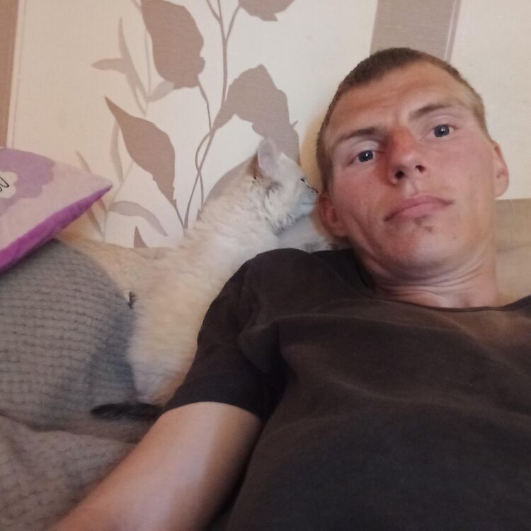 ���������� �����, ���� ������� �������, 32 ����, ������������ ��� ������, ����� � ���������, c�������� ���������, ���������