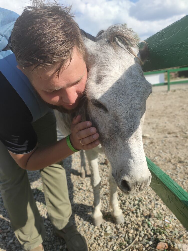 ���� 26453753 ������� ������, 34 ����, ���� ���������� � ���������