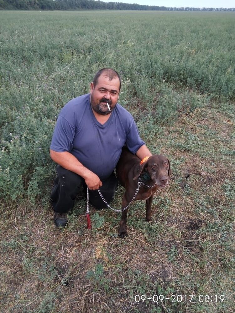 ���� 17776603 ������� ����, 50 ���, ���� ���������� � �������-��-����