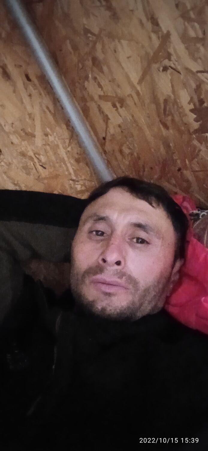  30319373  , 41 ,    
