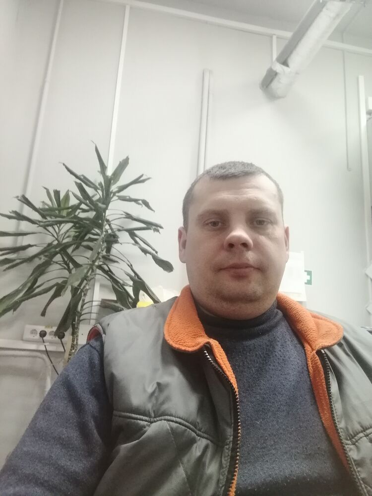  33055713  , 36 ,    