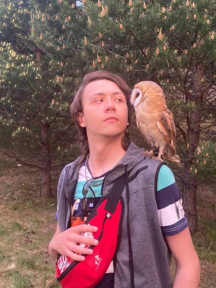 ���������� �������, ���� ����� ����, 23 ����, ������������ ��� ����� � ���������, c�������� ���������