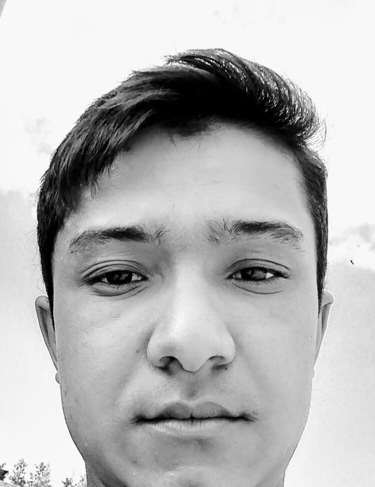 ���������� ������, ���� ����� Shkh, 24 ����, ������������ ��� ������, ����� � ���������