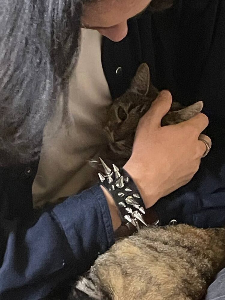 ���������� ����, ���� ����� �������, 20 ���, ������������ ��� ������, ����� � ���������