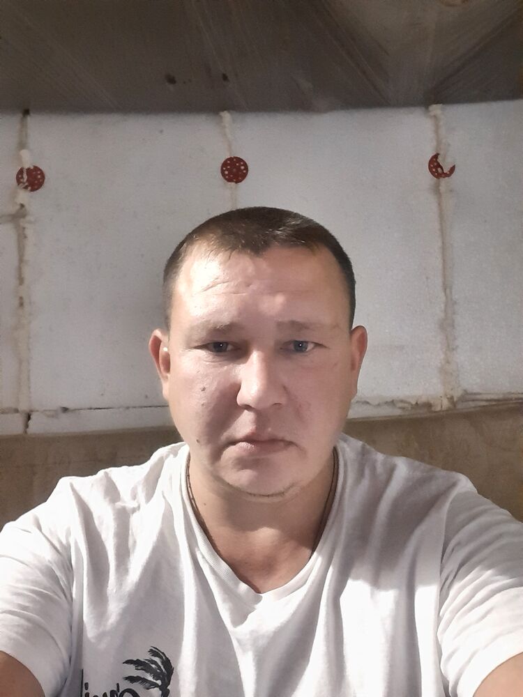  31346773  , 38 ,    