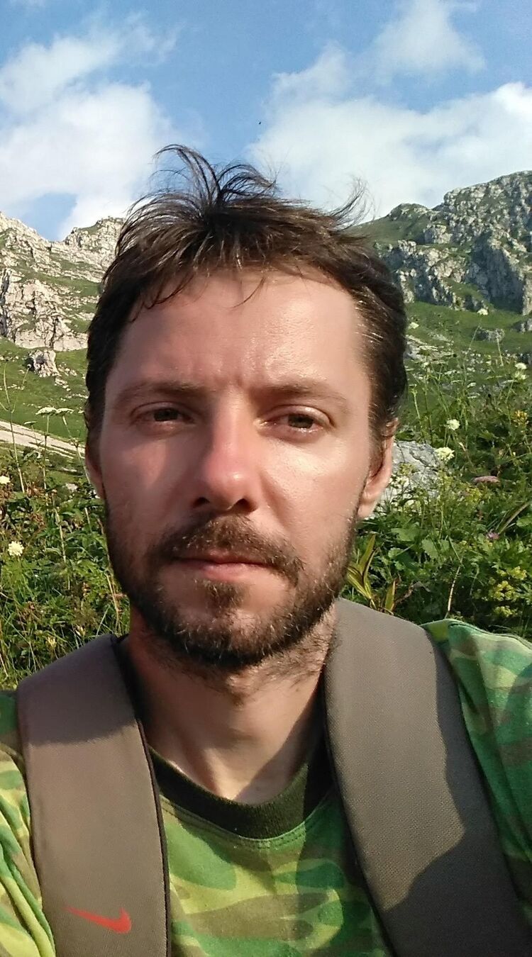 ���� 29667183 ������� �������, 40 ���, ���� ���������� � ����������