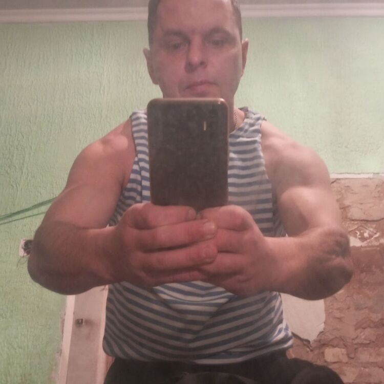  43564163  , 31 ,    