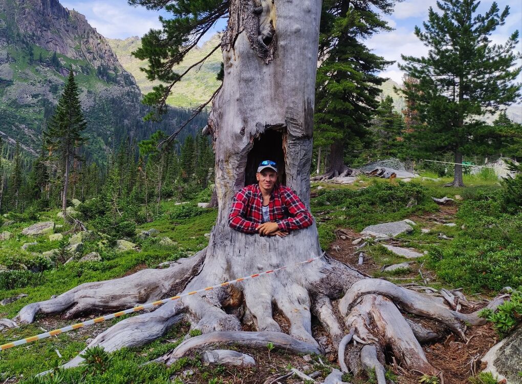 ���������� ����������, ���� ������� ����, 43 ����, ������������ ��� ������, ����� � ���������, c�������� ���������, ���������