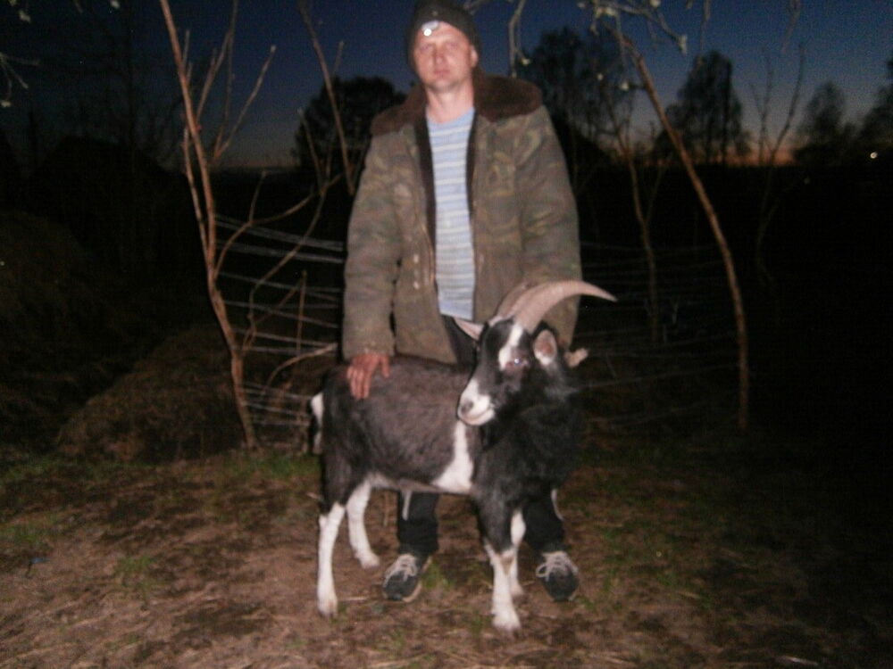 ���������� �����, ���� ������� �����, 39 ���, ������������ ��� ������, ����� � ���������, c�������� ���������, ���������