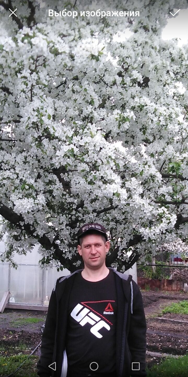 ���������� ���������, ���� ������� �������� �, 33 ����, ������������ ��� ������, ����� � ���������