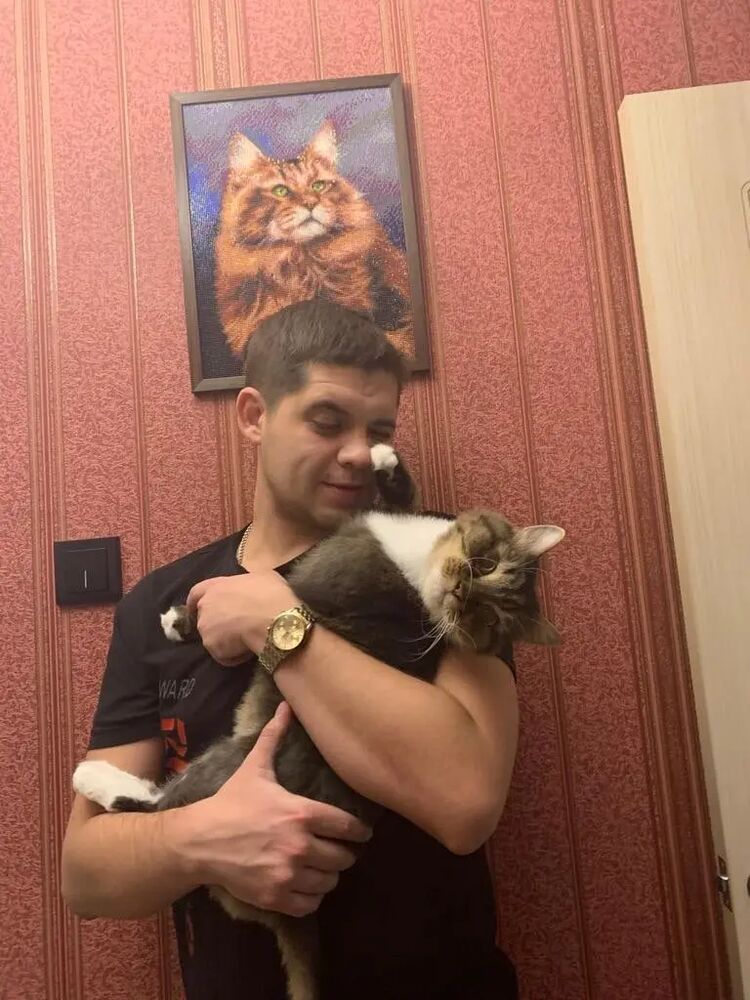 ���� 36434683 ������� Wayne, 35 ���, ���� ���������� � ����������