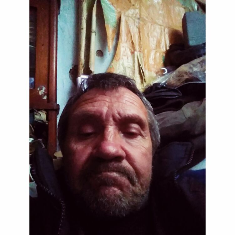 ���� 55264073 ������� �������, 55 ���, ���� ���������� � ��������