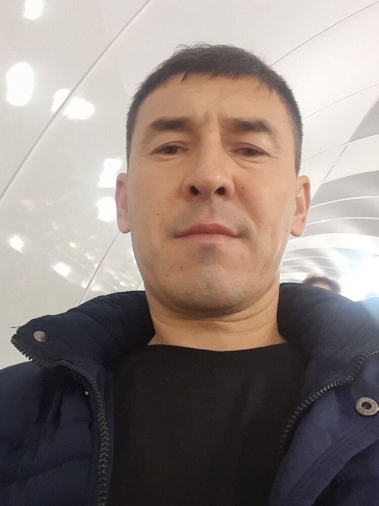  39235493  , 43 ,    