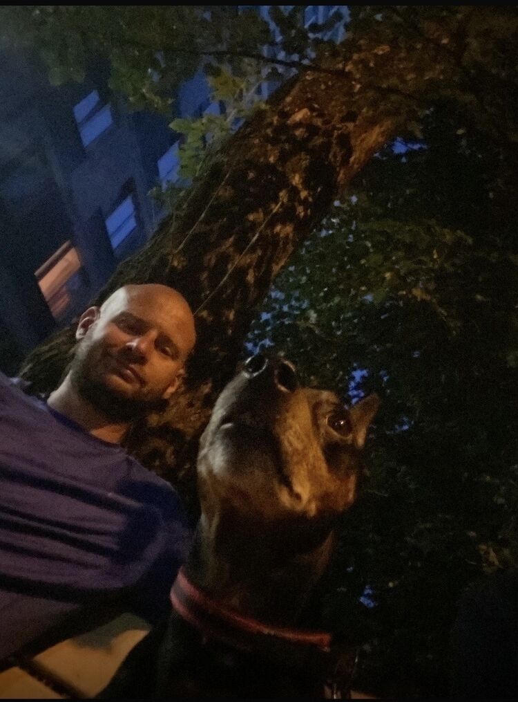 ���������� ������, ���� ������� �������, 39 ���, ������������ ��� ������, ����� � ���������, c�������� ���������