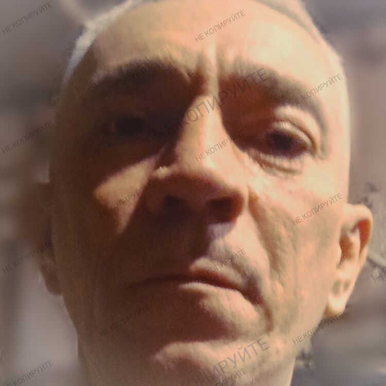  40931233  , 51 ,    