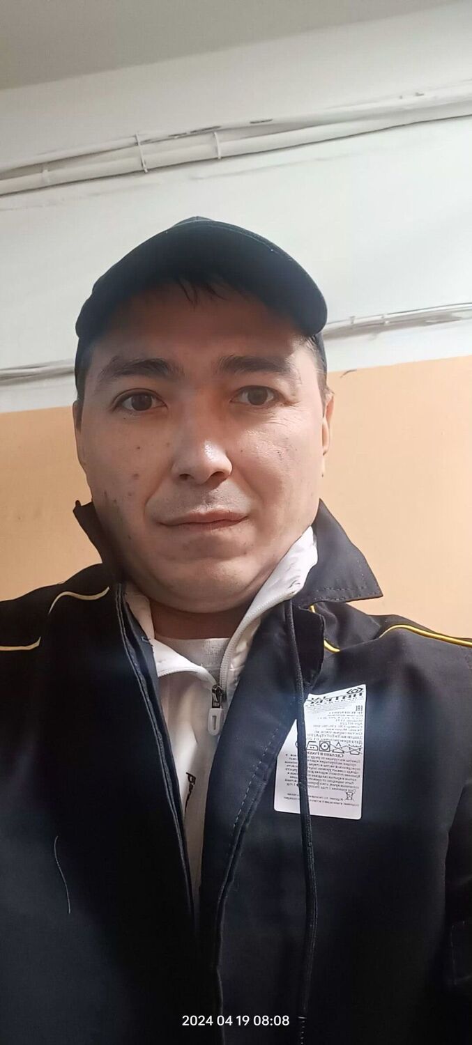  44003633  , 41 ,    