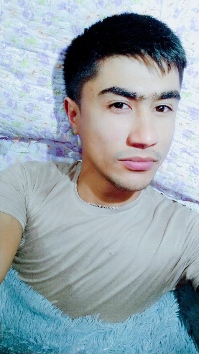  20317223  , 33 ,    