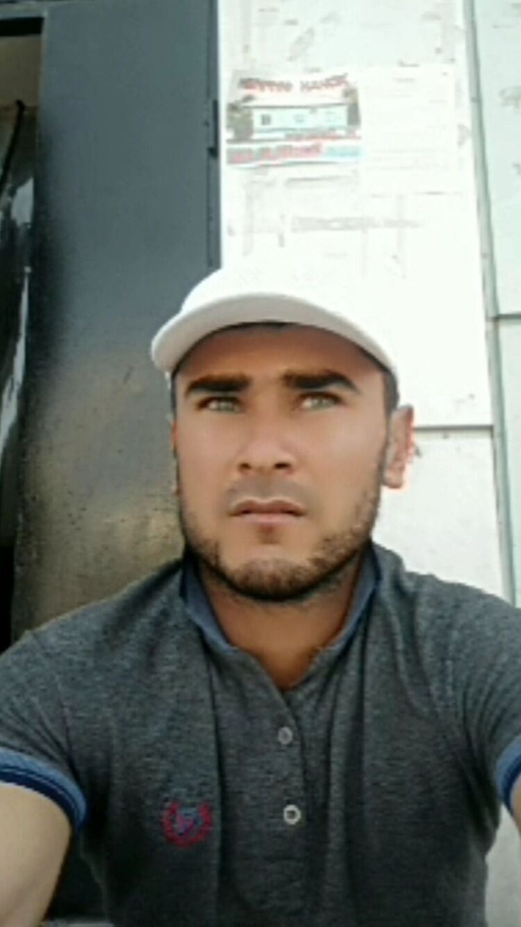  31790153  , 37 ,    