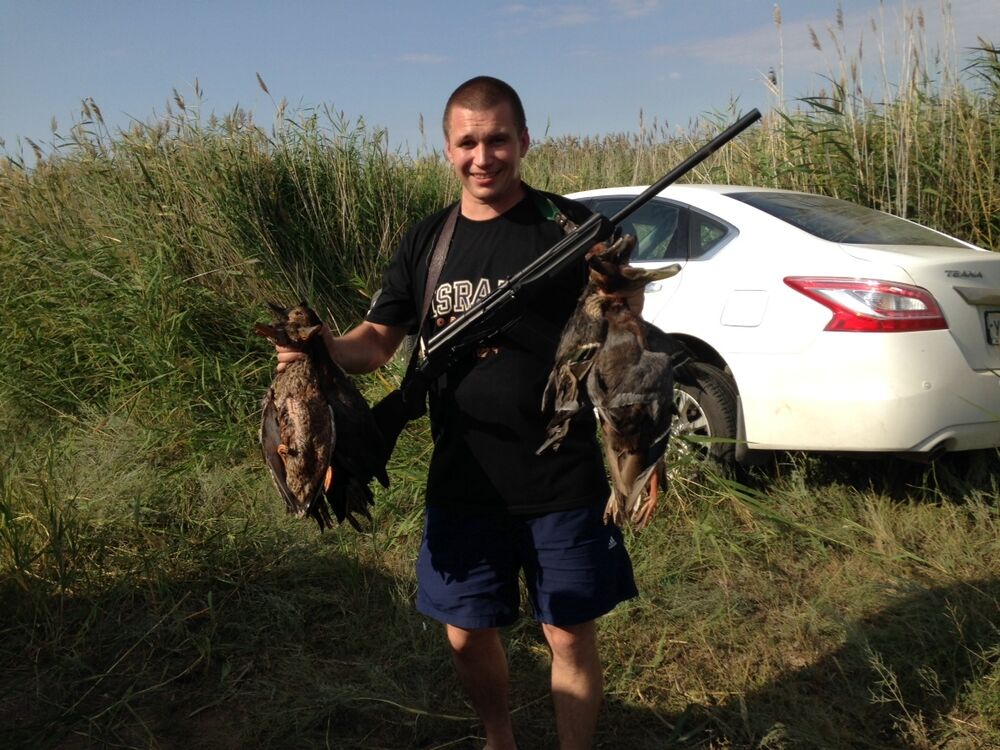 ���� 28819053 ������� �������, 40 ���, ���� ���������� � ���������