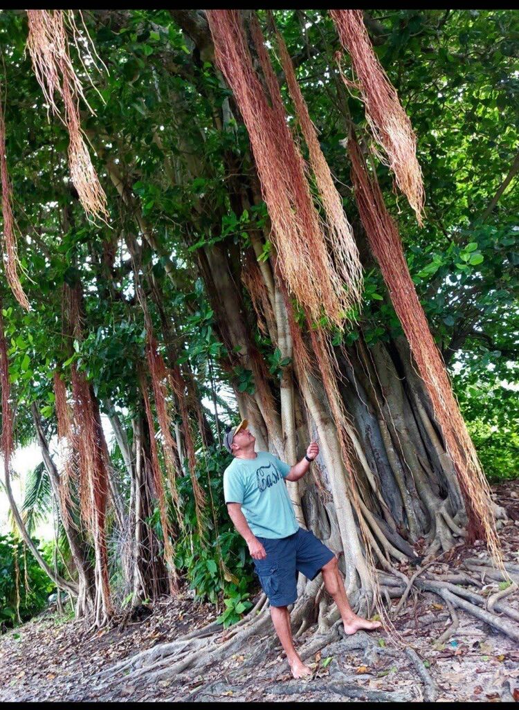  48756843  Vladimir, 50 ,    