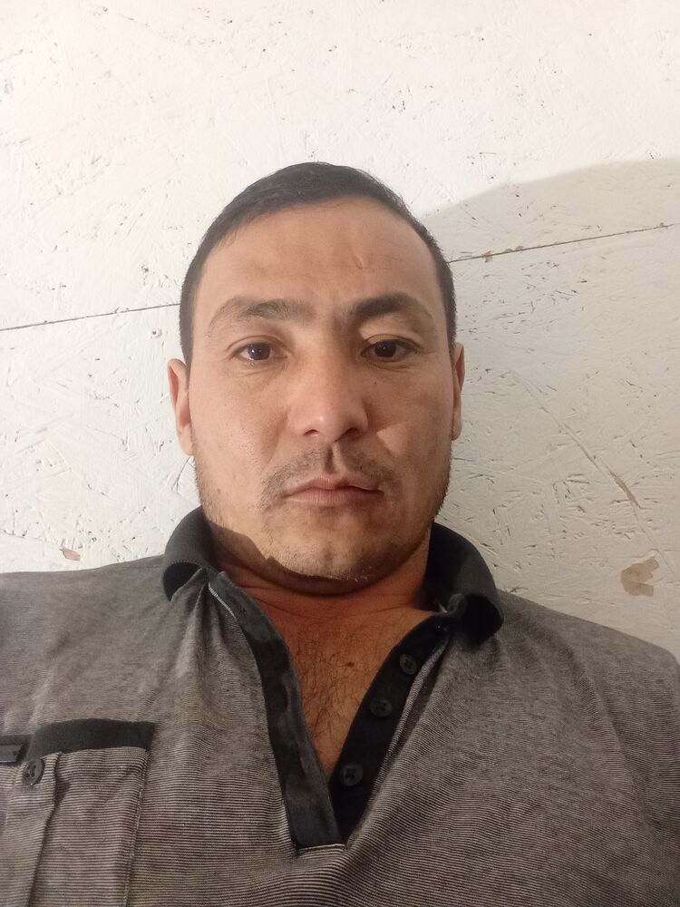 ���� 43002523 ������� �����, 33 ����, ���� ���������� � �������������