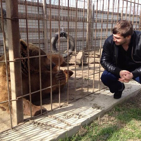 ���� 31591453 ������� �����, 49 ���, ���� ���������� � �������-��-����