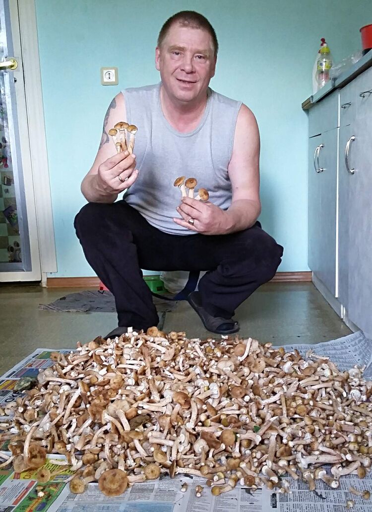  ,   , 60 ,   ,   , 