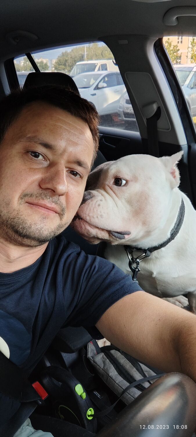 ���������� ������, ���� ������� ����, 41 ���, ������������ ��� ������, ����� � ���������, c�������� ���������, ���������