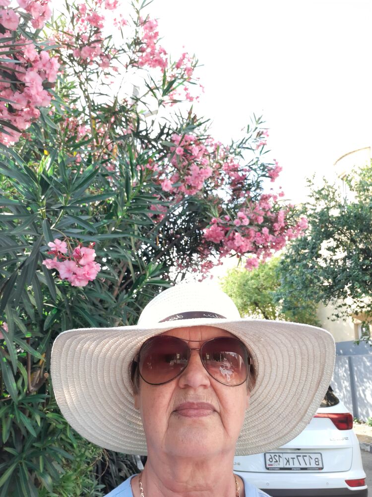 ���������� ����, ���� ������� ����� ����, 68 ���, ������������ ��� ����� � ���������