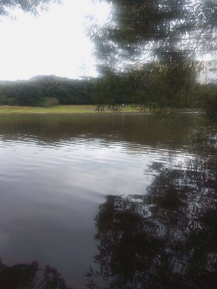 ���������� ������, ���� ������� �����, 39 ���, ������������ ��� ������, ����� � ���������, c�������� ���������, ���������