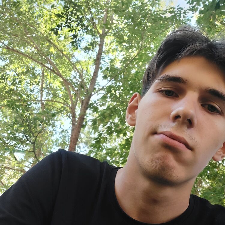  28525773  , 21 ,    