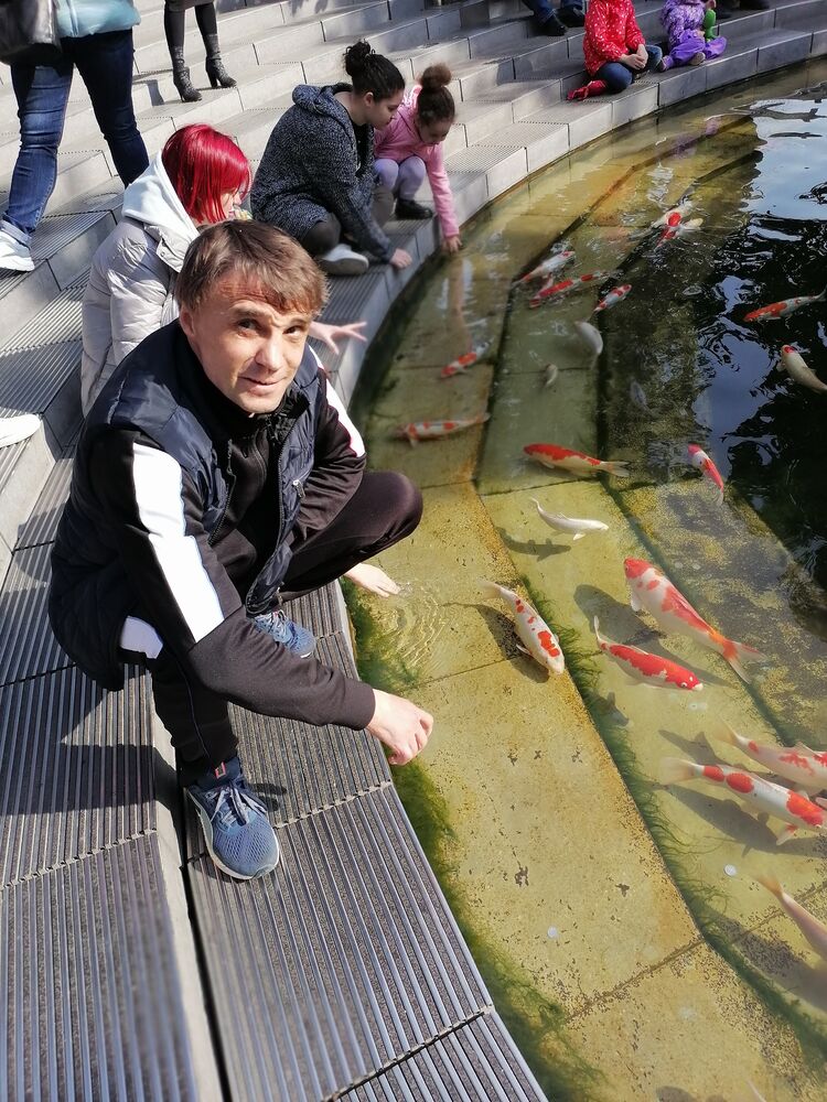 ���������� ���������, ���� ������� �����, 53 ����, ������������ ��� ������, ����� � ���������, c�������� ���������, ���������