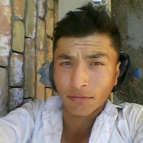 ���� 25913833 ����� ������, 24 ����, ���� ���������� � ������������