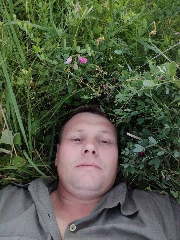 ���� 25385233 ������� ������, 50 ���, ���� ���������� � ��������