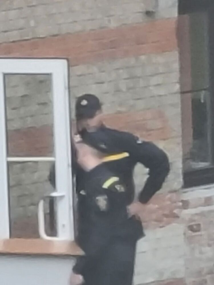 ���� 31217503 ����� ���, 22 ����, ���� ���������� � ���������������