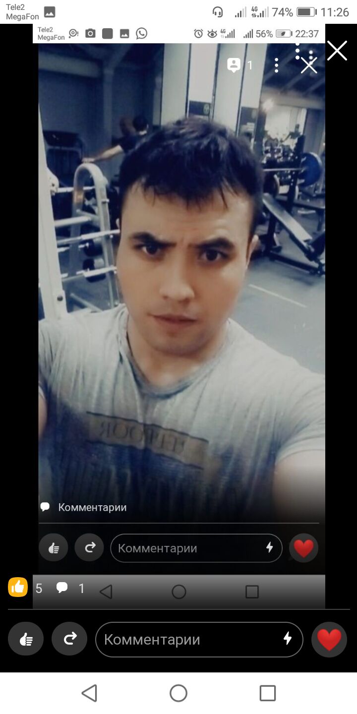 ���� 23119953 ������� �����, 34 ����, ���� ���������� � ������