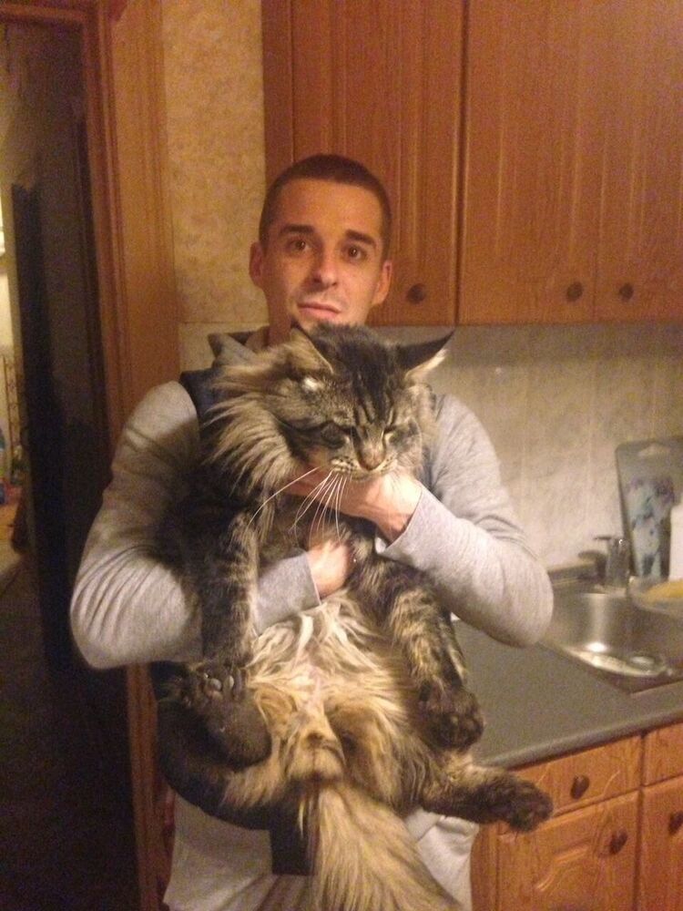 ���������� ������, ���� ������� Alex, 30 ���, ������������ ��� ������, ����� � ���������, c�������� ���������