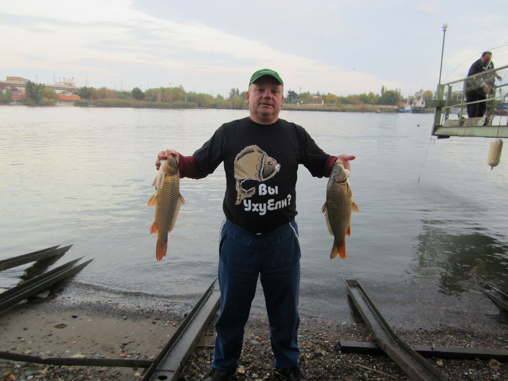 ���� 4488183 ������� Murzik, 51 ���, ���� ���������� � ����