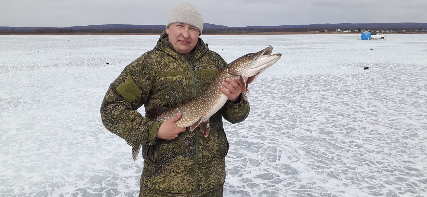 ���� 26733203 ������� ������, 32 ����, ���� ���������� � ����