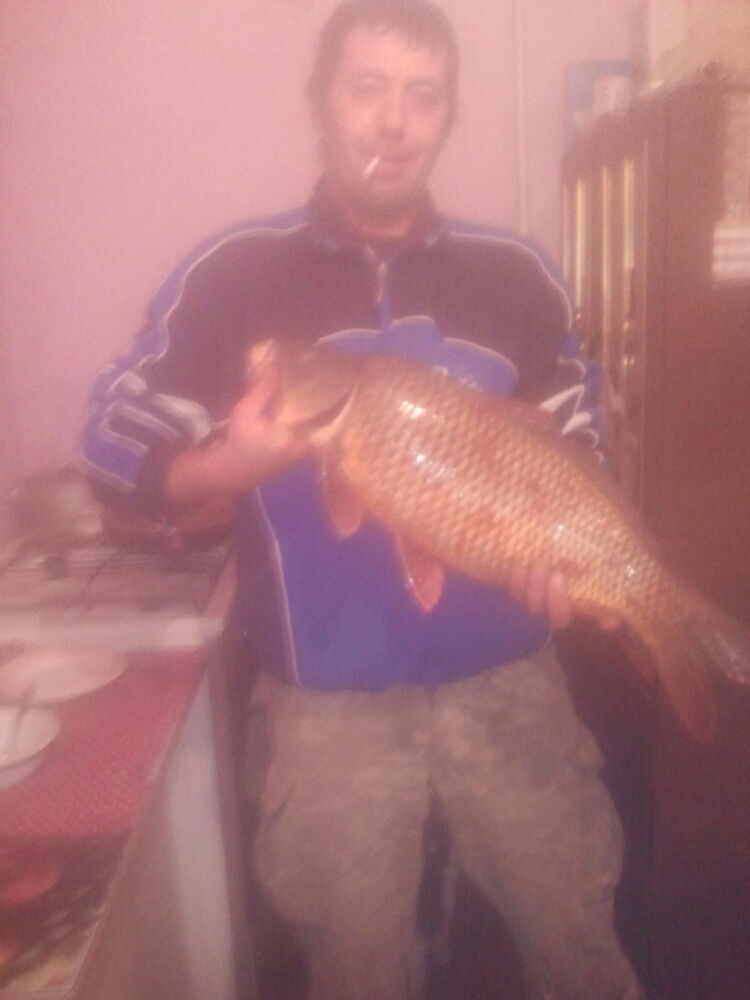  17293223  , 54 ,    