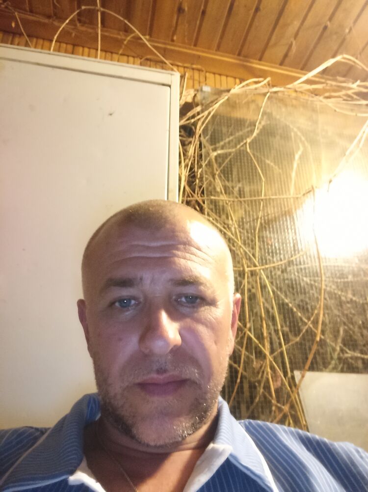  46719043  , 44 ,    