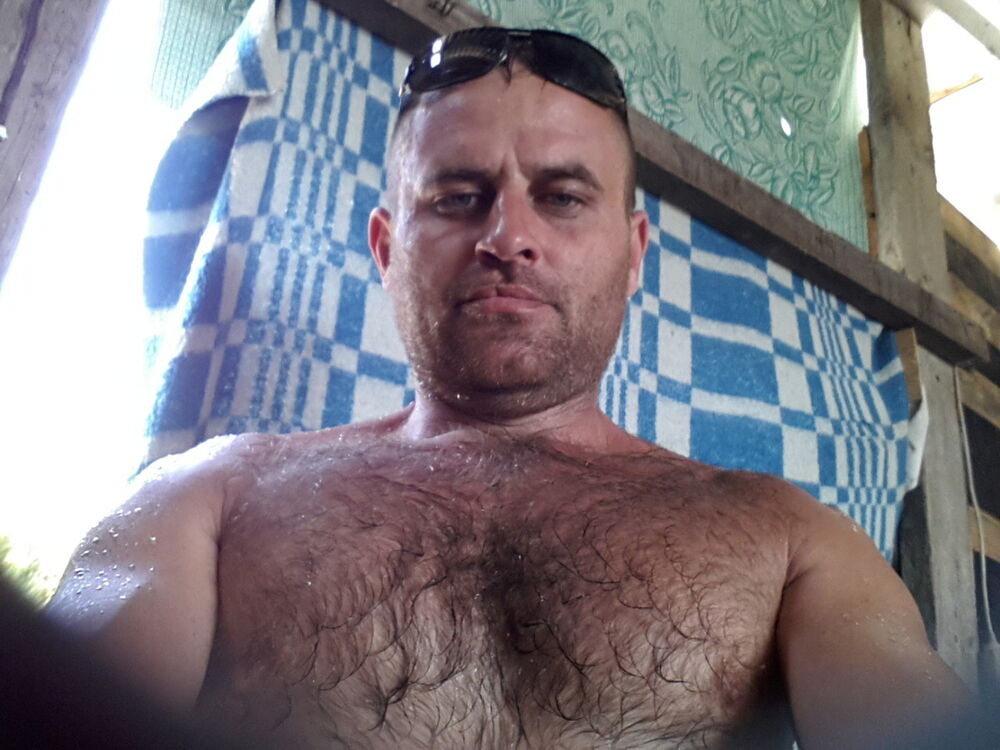  6313943  , 40 ,    